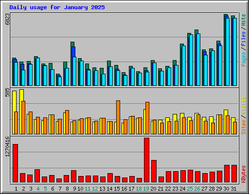 Daily usage for January 2025