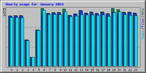 Hourly usage for January 2024
