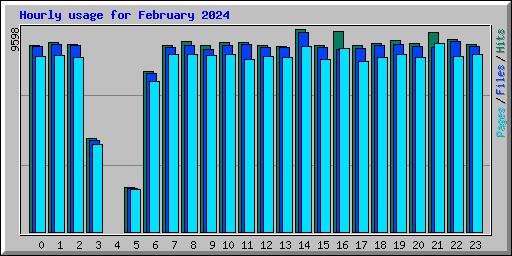 Hourly usage for February 2024