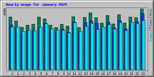 Hourly usage for January 2025